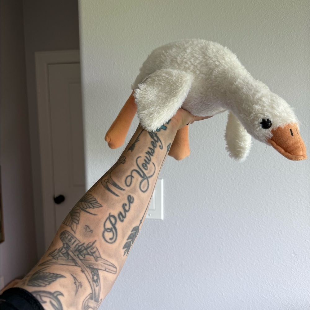 Weighted Goose
